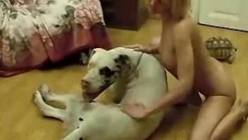Short-haired blonde with big boobs fucks a kinky dog