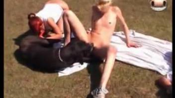 Homemade bestiality footage live on webcam featuring ladies hooked on intense pounding