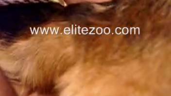 Among the steamiest guy-on-female-dog clips available