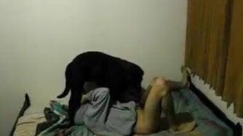 Dog licks pussy of girl in hoodie and penetrates from behind
