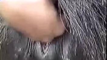 Traditional bestiality clips showing a naked man and his small pony