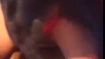Tough chick getting banged doggy-style in a zoo clip