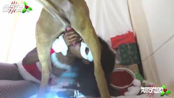 Black dominatrix displays wild bestiality webcam moments on live stream