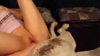 Inexperienced young lesbian delivers premium clips of animal sex videos