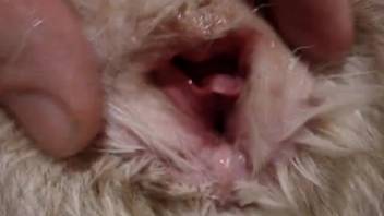 Man arouses the moist pussy of his pale kitten