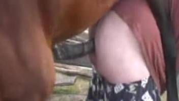 Muscled as fuck horse bangs a big-bottomed zoophile in doggy style pose