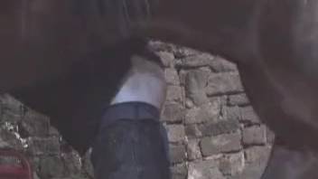 Explicit homemade beastiality video with horses in animal sex recording