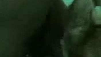 Aroused guy intensely bangs his dog and shoots his load on its fur