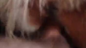 Perverted guy rams his dick far into that cunt