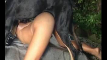 Slim brunette anally rides dog's thick penis in fresh air
