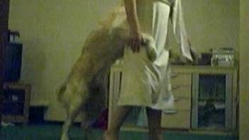 Big dog knocks slender girl on the floor to fuck her