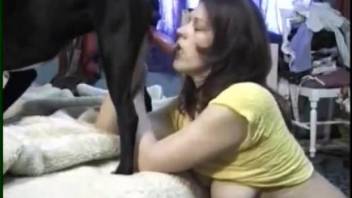 Bitches are having a wild time sharing the dog cock on cam