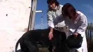 Nurse helps dog fuck its owner's pussy then sucks animal's cock