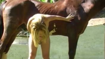 Bare blond babe gets naughty with a horse in steamy outdoor alone time