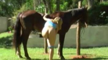Naked blonde plays kinky around the horse in sexy outdoor solo