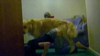 Lustful homemaker arches her rear for the excited canine
