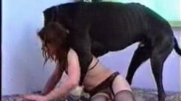 Homemade video capturing a woman tolerating a dog's penis inside her