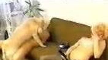 Blonde and brunette fucking a brown dog on a couch