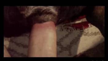 Dude fucked his hairy doggy in close-up POV clip