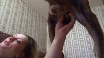 Voluptuous lady senses complete canine penis devastating her vagina