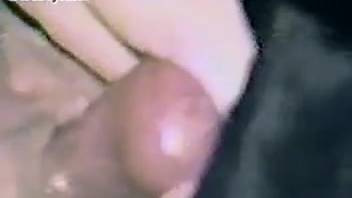 Homemade video featuring a wedded lady being aggressively screwed by the canine
