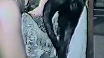 Vintage clip showcasing a blonde vixen and a canine