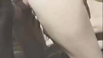 Voluptuous lady attempts anal intercourse with a canine in genuine bestiality live on webcam