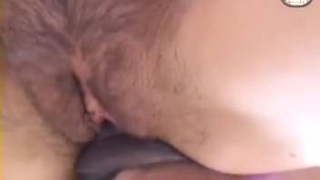 Mature dick-sucking lady experiences ecstasy with the horse's enormous beast