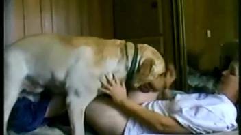 Canine tongues and penetrates elderly proprietor's damp vagina till the slut climaxes