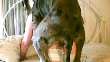 Novice woman takes full canine penis deep in her rosy vagina and rear