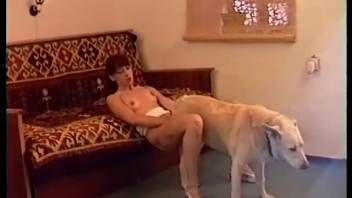 Novice blows the guy's dick messily before fucking