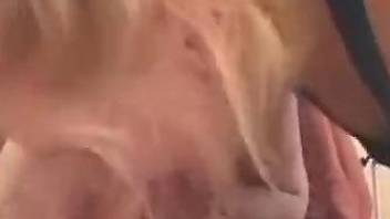 Curvy ass blonde mom, home alone time with the dog in sexual scenes