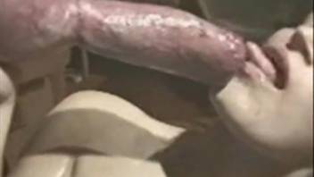 Inexperienced whore handles the massive stallion cock in her two tight openings