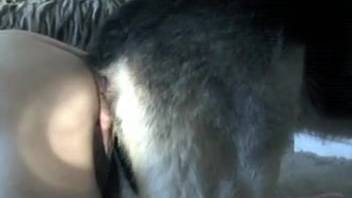 Extended sex session with a man, a dog, and his wife