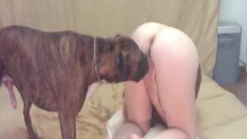 Tight butt babe getting bred by her big-dicked pooch