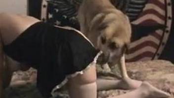 Busty mature enjoys the feeling of having dog sex on cam