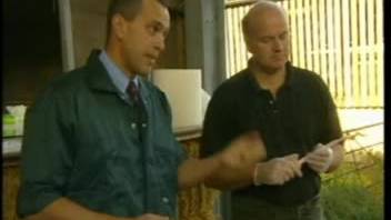 Guy fondles the pig's cock and becomes excited