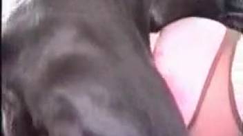 Slut blows and bangs the canine in wild homemade animal den