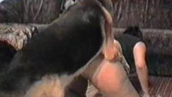 German shepard fucks woman and cums in her pussy