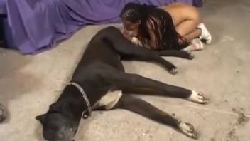 Intense beastly intercourse at home for a penis-licking whore