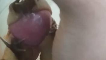 Man puts snails on his erect cock while masturbating on cam