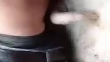Guy screws swine in the rear until he ejaculates inside the beast