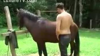 Horny dude loves sucking the horse's dick like that