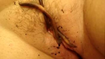 Plump slut pleasures herself with worms in her vagina and buttocks