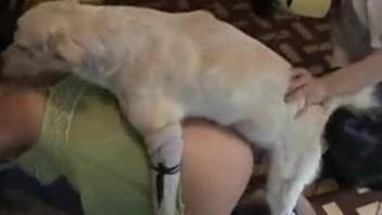 Slut in green getting fucked by he white doggo