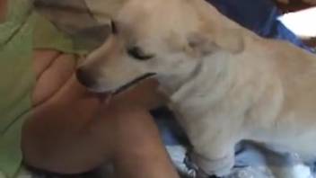 Whore dressed in green being screwed by her white pup