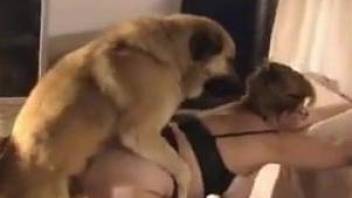 Glasses-wearing mature lady gets licked by a horny dog