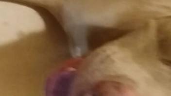 Perverted canine flaunting its massive crimson cock on webcam
