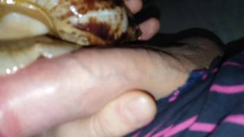 Aroused guy masturbates with numerous snails covering his hard cock