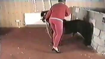 Xxx Girl Video With Dog And Horse - Zoo Tube - Bestiality porn with tons of animal sex videos, page 4